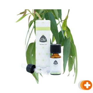 Chi eucalyptus smithii etherische olie bio