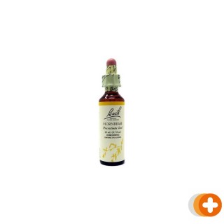 Bach flower remedies haagbeuk 17