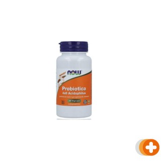 Now biotica 4x6 acidophilus capsules