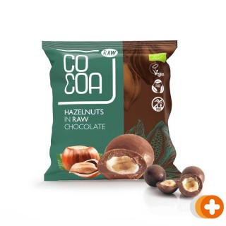 Cocoa hazelnoten met pure chocolade raw
