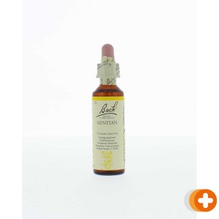 Bach flower remedies gentiaan 12
