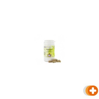 Holisan punarnava capsules
