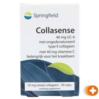 Springfield collasense type ii capsules