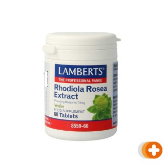 Lamberts rhodiola rosea