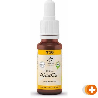 Bach no.36 wild oat