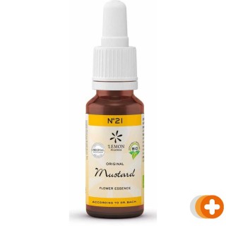 Bach no.21 mustard
