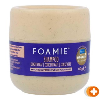 Foamie shampoo concentrate moisture
